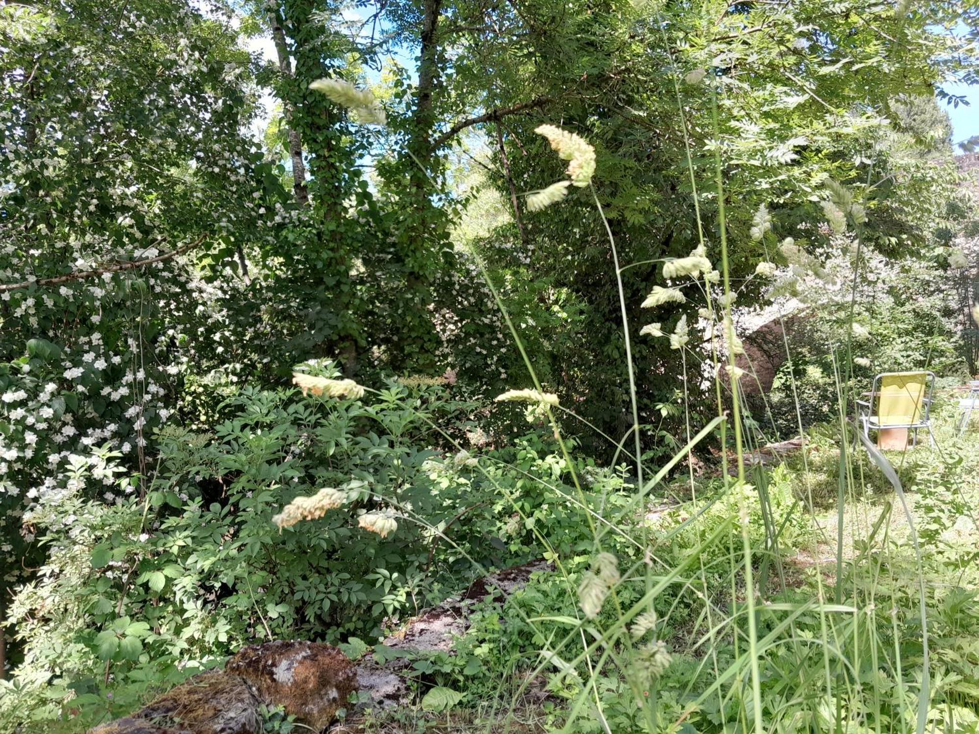 Appartement Privatif En Bord De Riviere Figeac Exterior photo